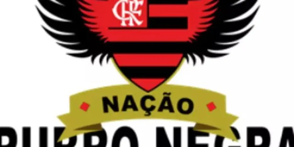 Imagem do grupo de WhatsApp Nação 12 oficial  ❤️🔴⚫🔴❤️ .