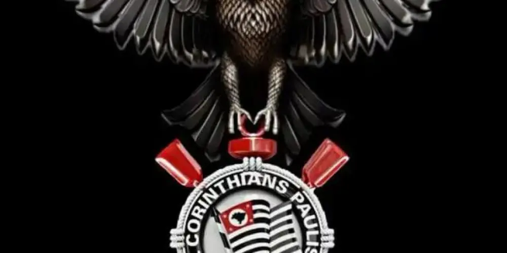 Imagem do grupo de WhatsApp 🦅🖤Nação Alvinegra🦅🖤