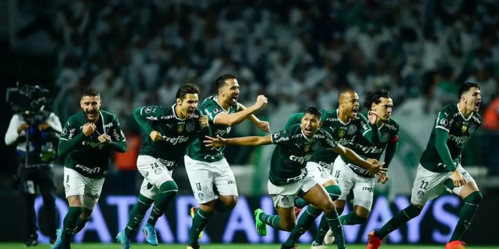Imagem do grupo de WhatsApp Nação Alviverde 💚🤍🇮🇹🐷