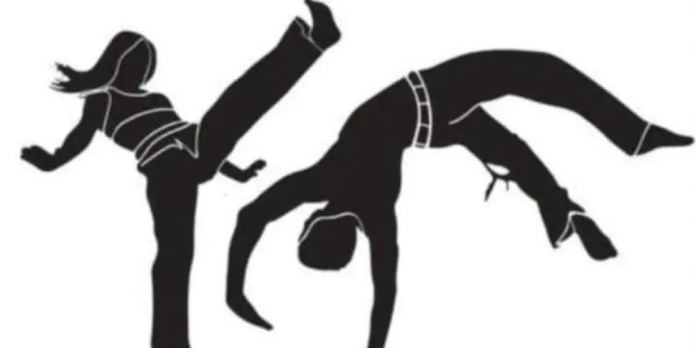 Imagem do grupo de WhatsApp Nação Capoeira
