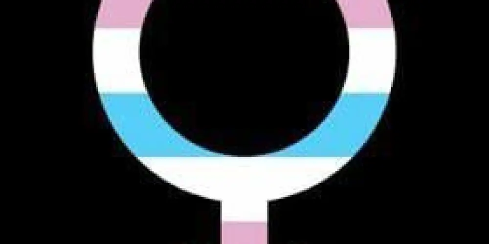 Imagem do grupo de WhatsApp Nação femboys