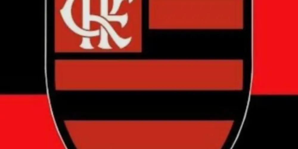 Imagem do grupo de WhatsApp Nação flamenguista1️⃣8️⃣9️⃣5️⃣