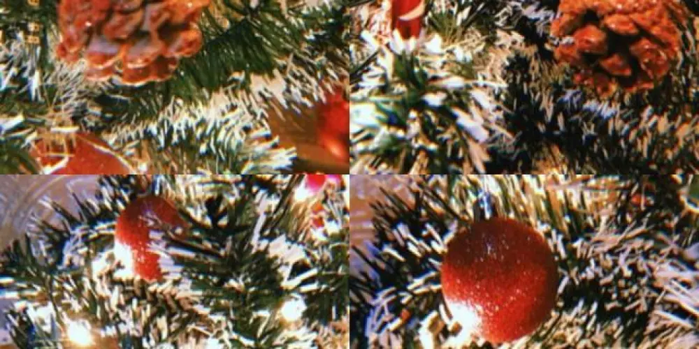 Imagem do grupo de WhatsApp Namoro 24hrs😈