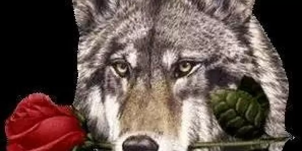 Imagem do grupo de WhatsApp Namoro