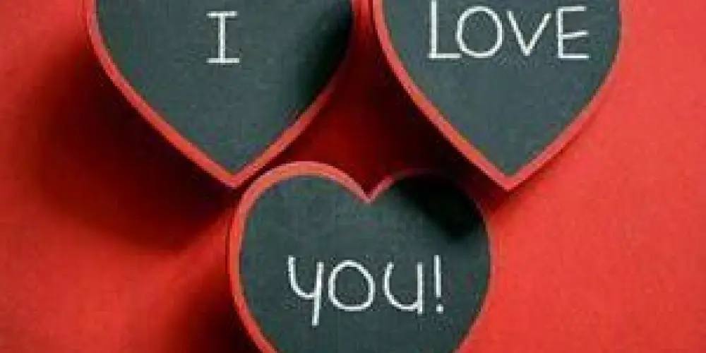 Imagem do grupo de WhatsApp Namoro ❤️❤️❤️