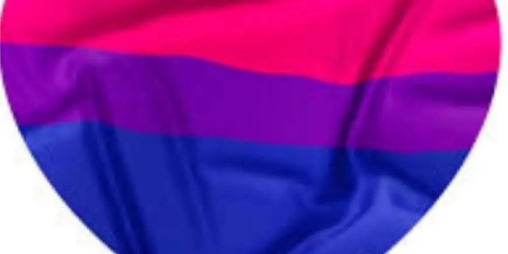 Imagem do grupo de WhatsApp NAMORO BI E GAY ❤💜