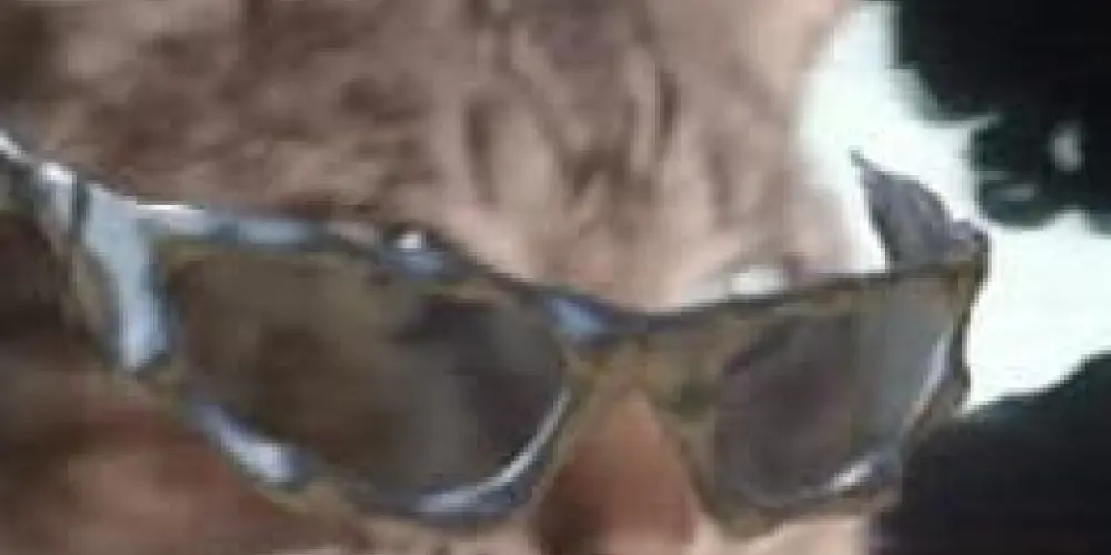 Imagem do grupo de WhatsApp Namoro de lokos:3