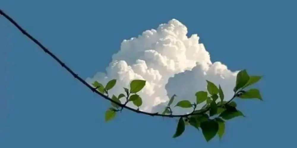 Imagem do grupo de WhatsApp Namoro e amizade