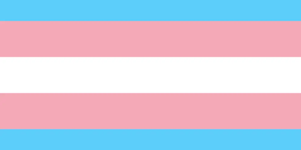 Imagem do grupo de WhatsApp NAMORO E AMIZADE TRANS