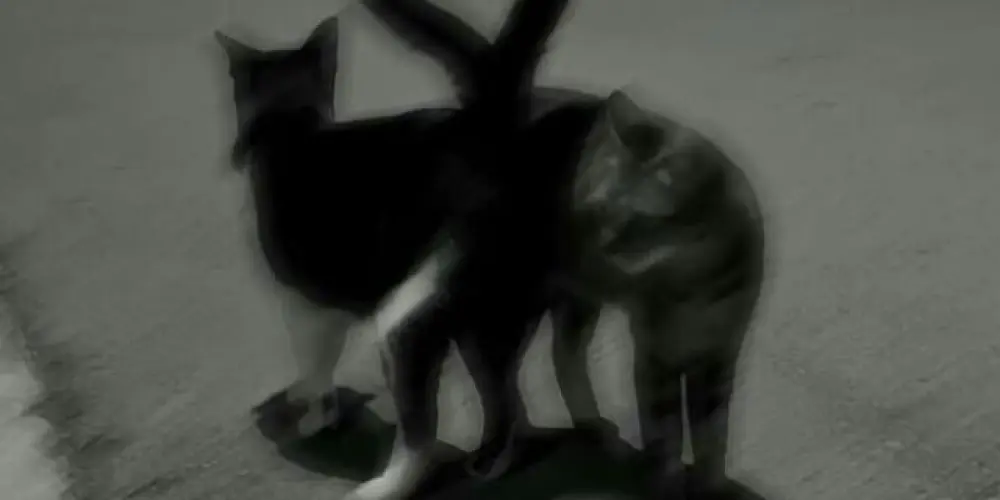 Imagem do grupo de WhatsApp Namoro e zueira