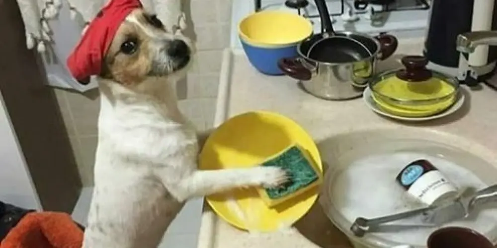 Imagem do grupo de WhatsApp Namoro honesto 👱🏻‍♀️🧎🏻‍♂️