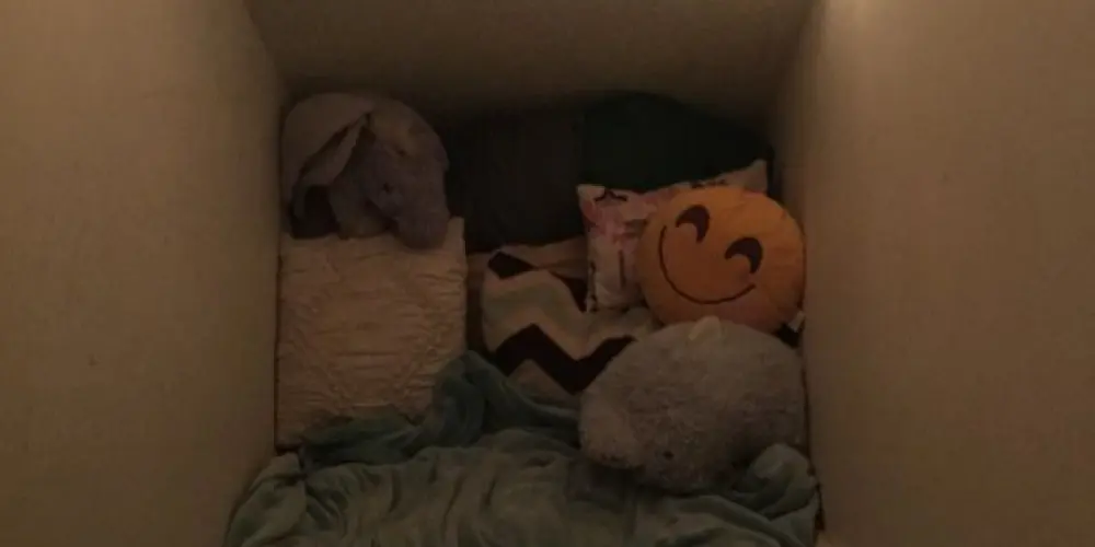 Imagem do grupo de WhatsApp Namoro humilde