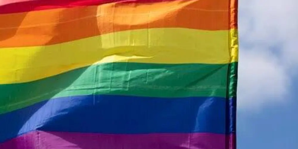 Imagem do grupo de WhatsApp Namoro LGBT