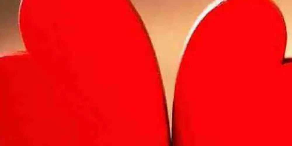 Imagem do grupo de WhatsApp ❤️Namoro ou Amizade❣️