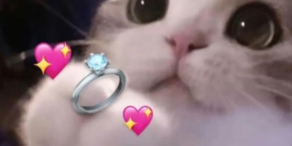 Imagem do grupo de WhatsApp Namoro ou amizade💕