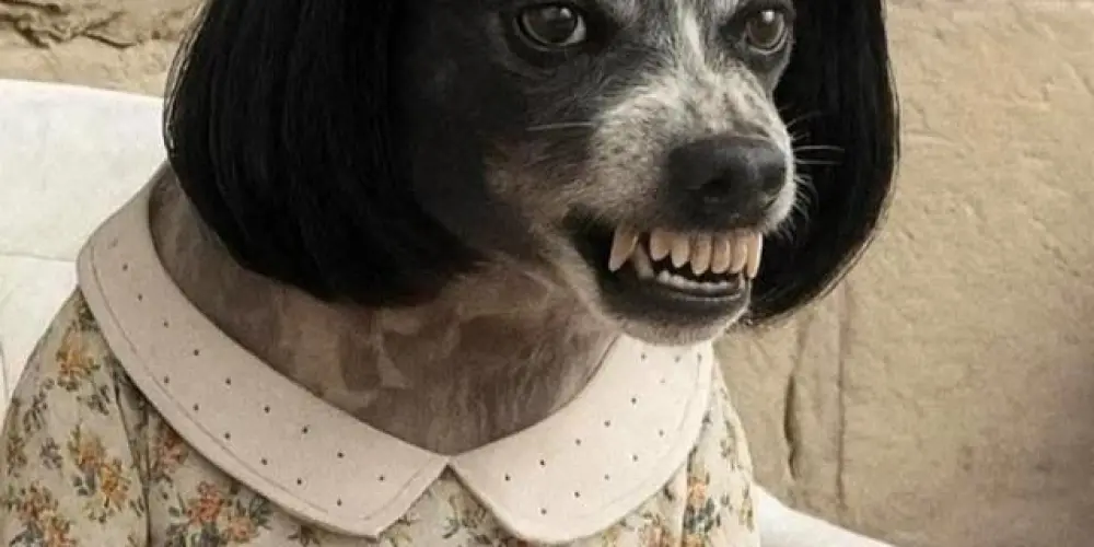 Imagem do grupo de WhatsApp Namoro ou amizade