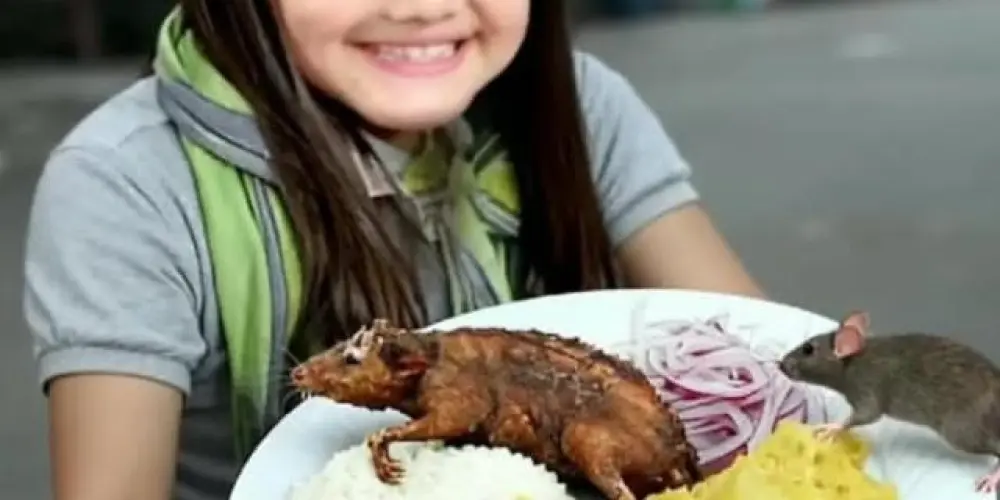 Imagem do grupo de WhatsApp 🇫🇷⃤⃟๖ۣۜNamoro ou amizade?. ⿻꫶࣪࣪