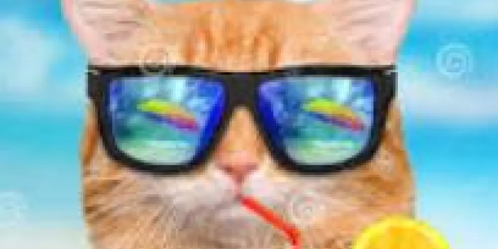 Imagem do grupo de WhatsApp #Namoro_virtual 👩‍❤️‍👨♥️💫