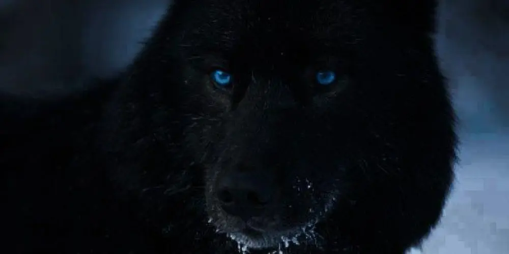 Imagem do grupo de WhatsApp Namoro/amizade