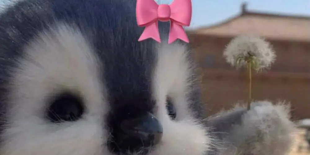 Imagem do grupo de WhatsApp Namoro💍ou Amizade💗?