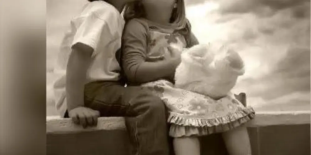 Imagem do grupo de WhatsApp ✨Namoros Web e Amizades✨