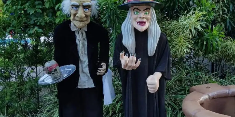 Imagem do grupo de WhatsApp Não passa nem 🐜Camuflada