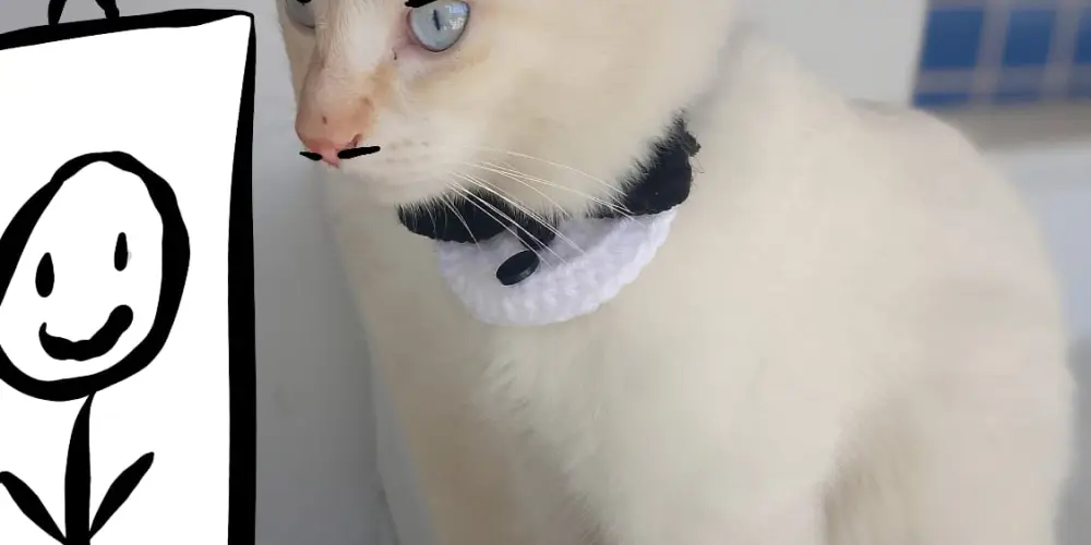 Imagem do grupo de WhatsApp Não sufoque o artista ✋😞