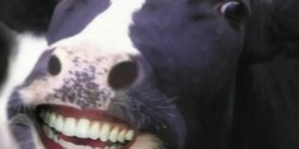 Imagem do grupo de WhatsApp NATA DA NATA 4.0🐮🥛