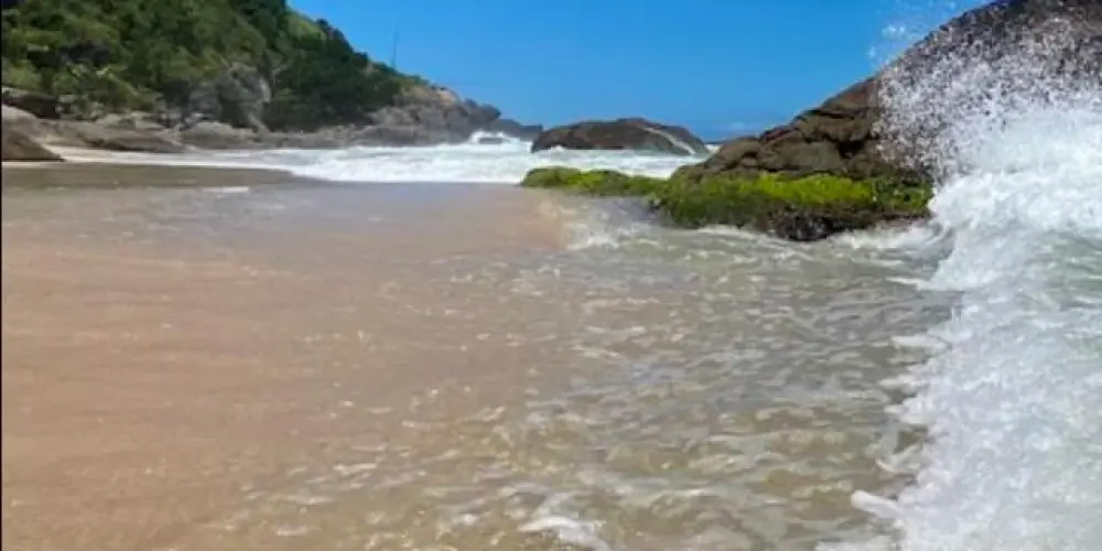 Imagem do grupo de WhatsApp Naturismo e nudismo RJ (ddd 21, 22, 24,)