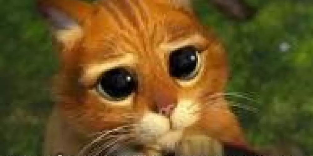 Imagem do grupo de WhatsApp Nenéns que não são nenéns 😶‍🌫