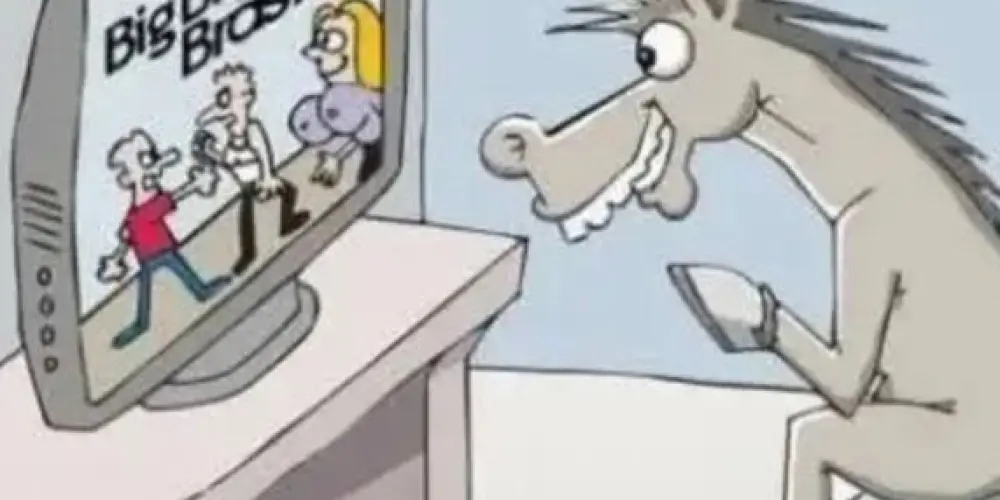 Imagem do grupo de WhatsApp never stress