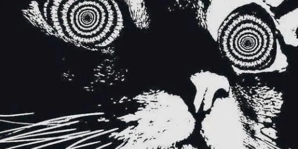 Imagem do grupo de WhatsApp New Friends