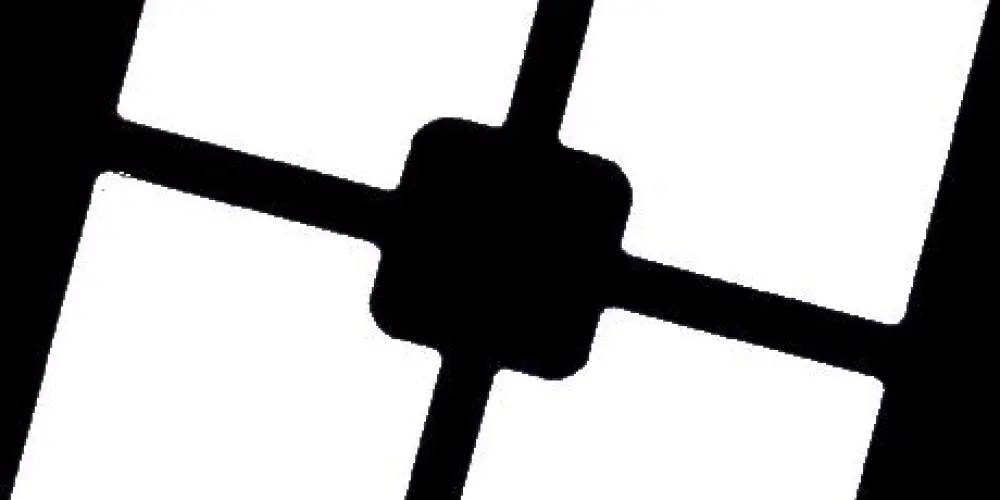 Imagem do grupo de WhatsApp Nexus Community