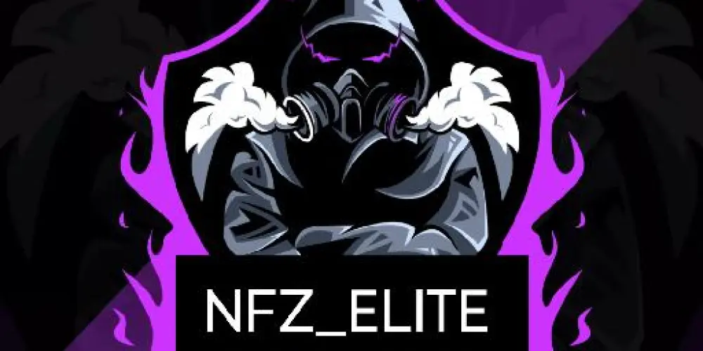 Imagem do grupo de WhatsApp NFZ_ELITE GUILDA