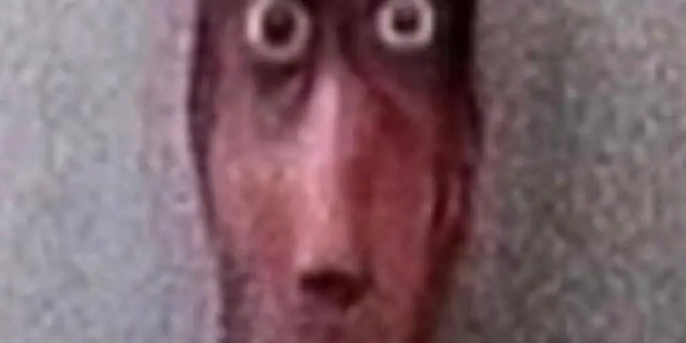 Imagem do grupo de WhatsApp Nigguers no topo 🐒