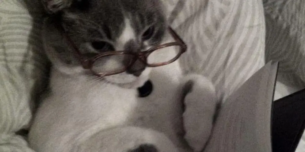 Imagem do grupo de WhatsApp 🌙📚NightBooks Club📚🌙