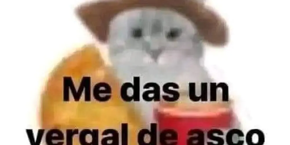 Imagem do grupo de WhatsApp Niñas mimosas