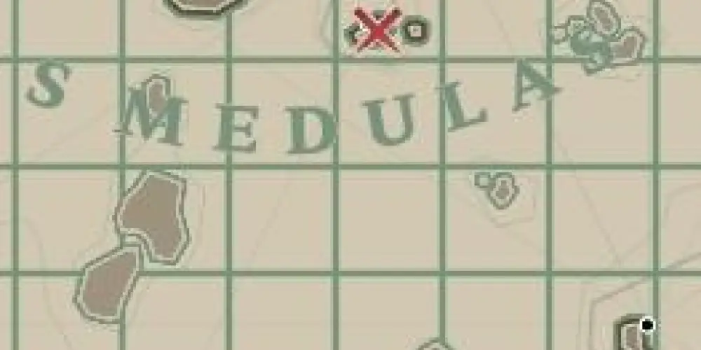 Imagem do grupo de WhatsApp NO RULES 🫡