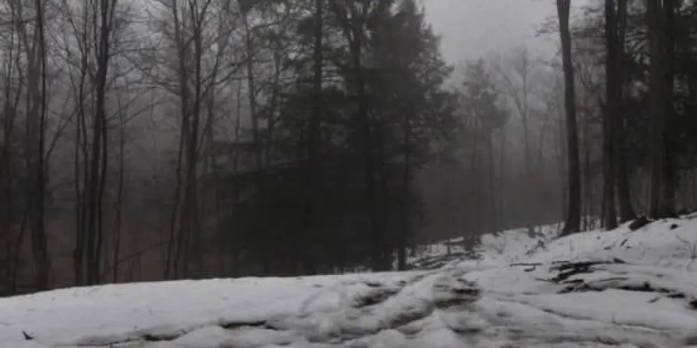 Imagem do grupo de WhatsApp Nocturnus