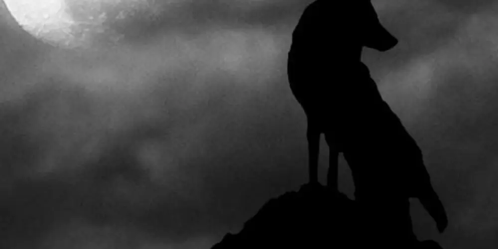 Imagem do grupo de WhatsApp Nofap Monk (90 Dias)