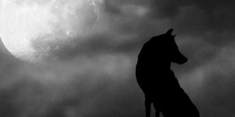 Imagem do grupo de WhatsApp Nofap (Prime)