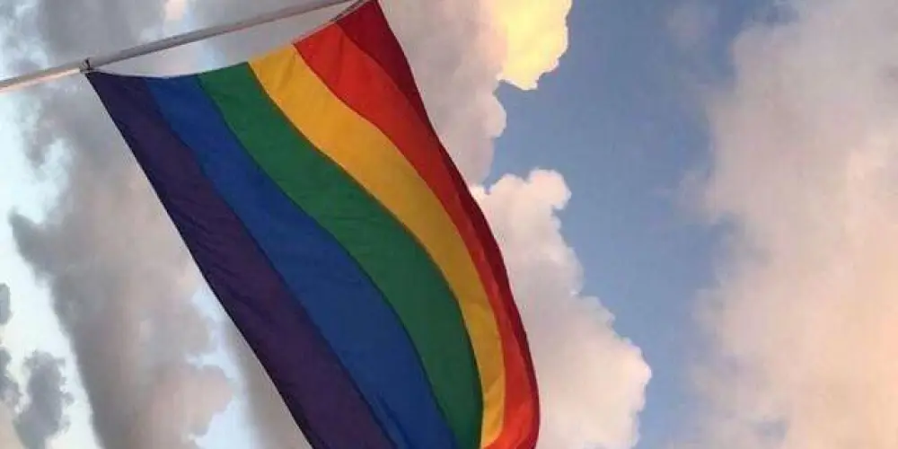 Imagem do grupo de WhatsApp 🌈NOITE/DIA DOS NOVINHOS🌈