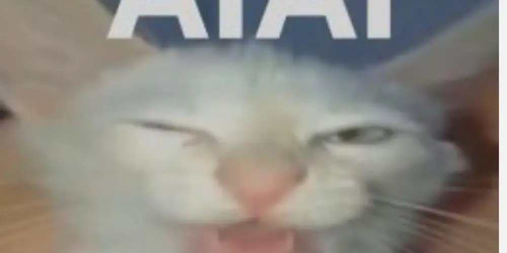 Imagem do grupo de WhatsApp NOME BONITO (TEMPORARIO)