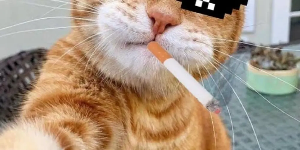 Imagem do grupo de WhatsApp _*nome_off_merao*_