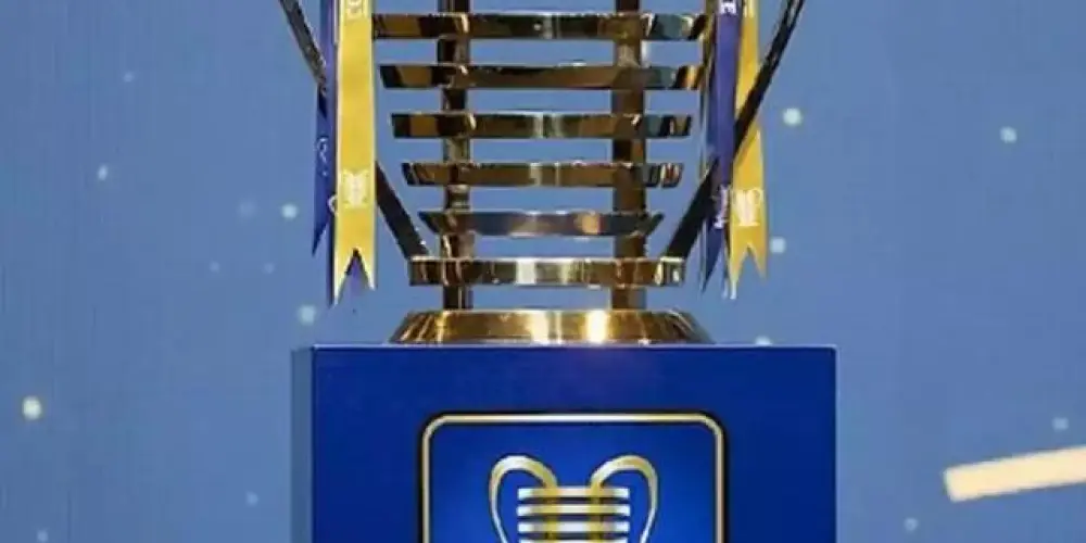 Imagem do grupo de WhatsApp NORDESTINO RAIZ