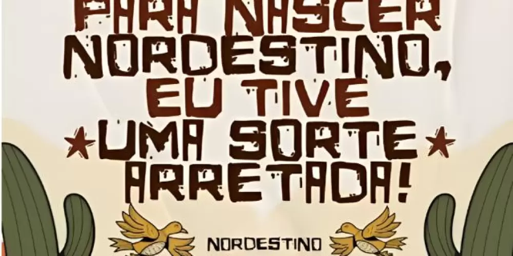 Imagem do grupo de WhatsApp 🌵🪗 NORDESTINOS ARRETADOS🪗🌵