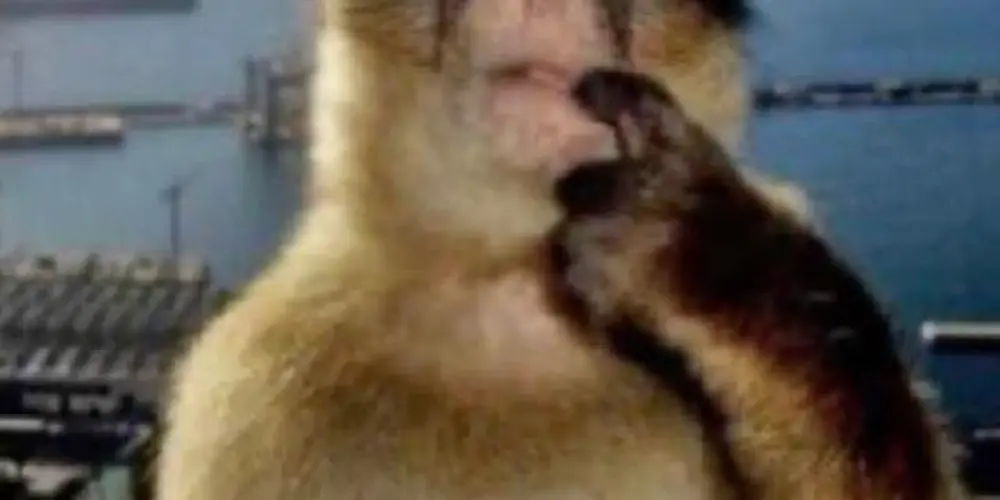 Imagem do grupo de WhatsApp nós é 🔝 o resto é sutiã