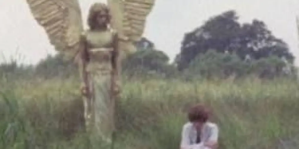 Imagem do grupo de WhatsApp ⤷ ゛nós i os anjos🕊️  ˎˊ˗