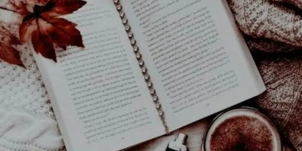 Imagem do grupo de WhatsApp Nosso cantinho 📖 ✨️