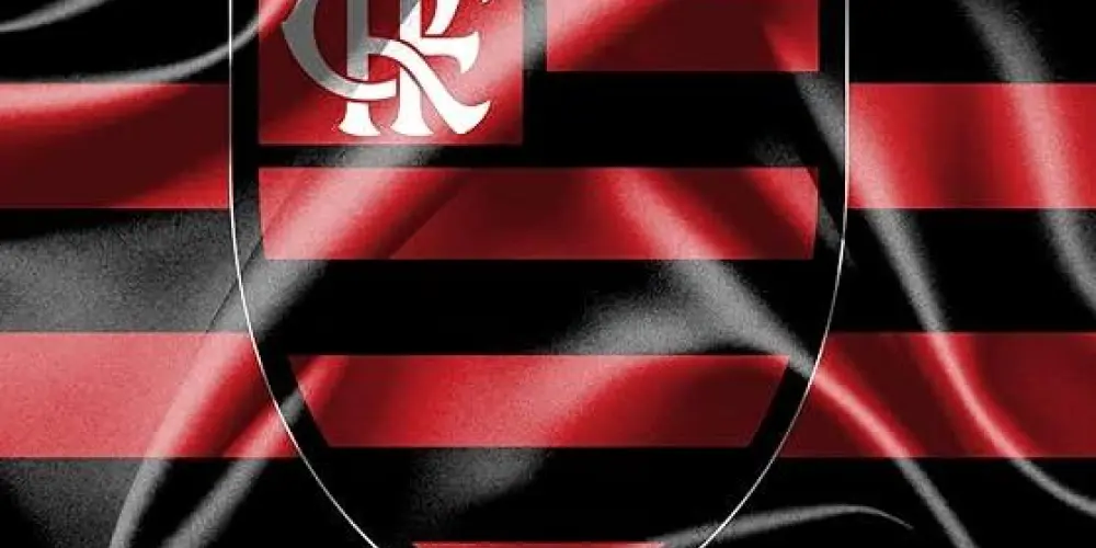 Imagem do grupo de WhatsApp Nosso Flamengo